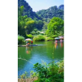 风景817