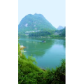 风景824