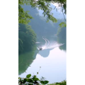 风景833