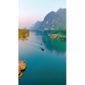 风景839