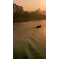 风景842