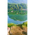 风景843