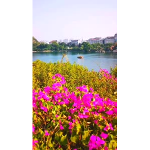 风景844