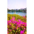 风景844