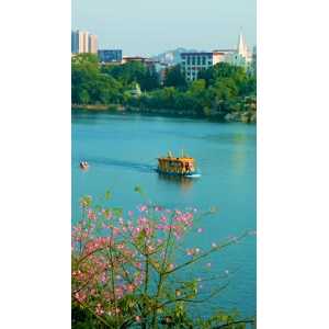风景845
