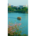 风景845