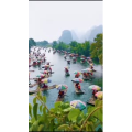 风景846