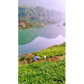 风景850