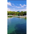 风景854