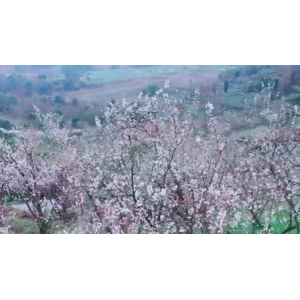 风景869
