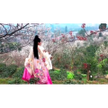 风景875