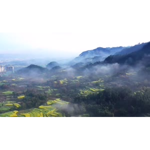 风景880