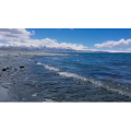 风景882