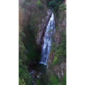 风景889