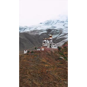 风景890