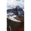 风景891