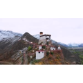 风景893