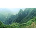 风景908