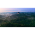 风景925