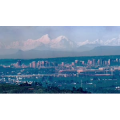 风景955