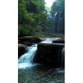 风景962