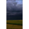 风景967
