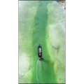 风景968