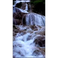 风景969