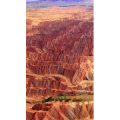 风景982
