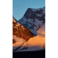 风景984