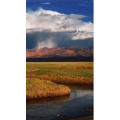 风景991