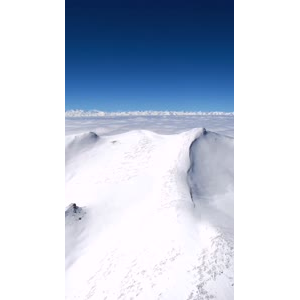 风景993