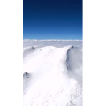 风景993