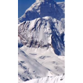 风景1006