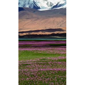 风景1023