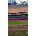 风景1023