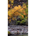 风景1033