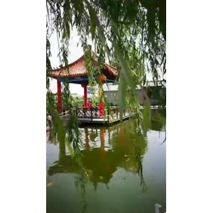 风景1049