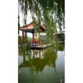 风景1049