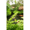 风景1065