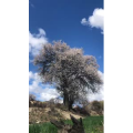 风景1089