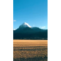 风景1122