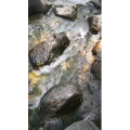 风景1125