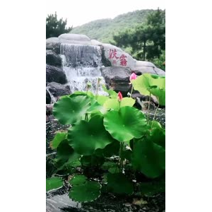 风景1126