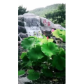 风景1126