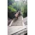 风景1133