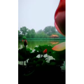 风景1153