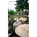 风景1165