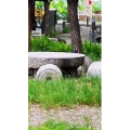 风景1198