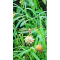 风景1205